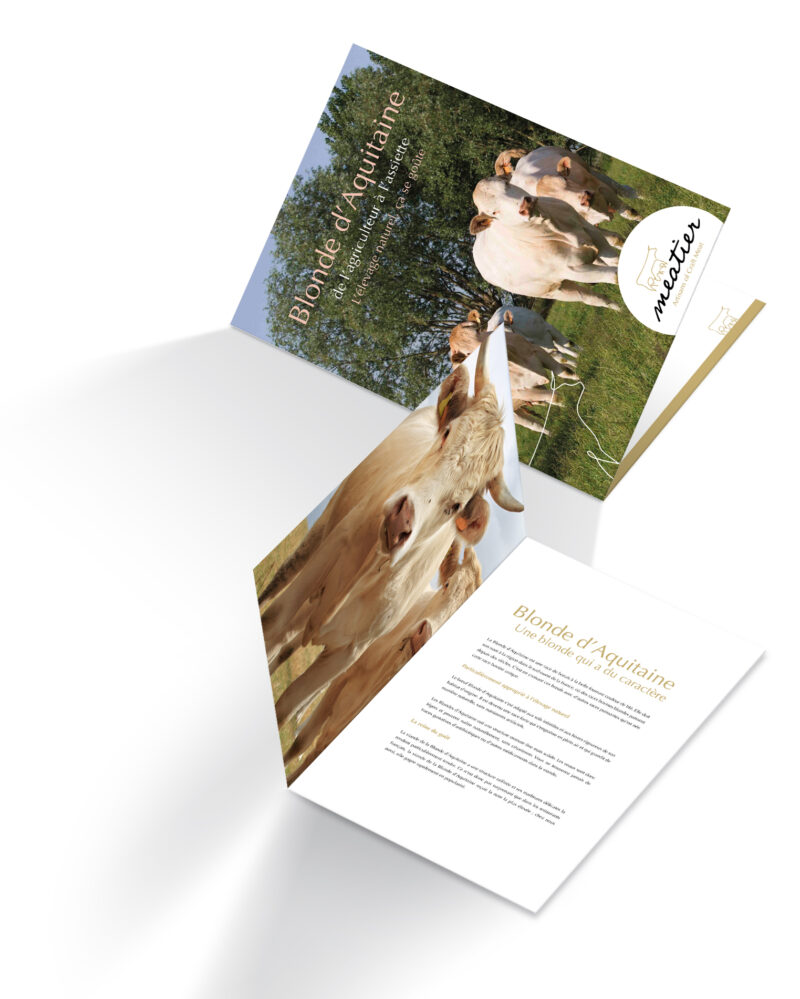 Brochure Mockup 2 fr